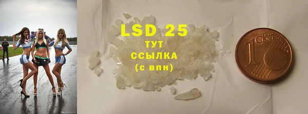 спиды Калининец