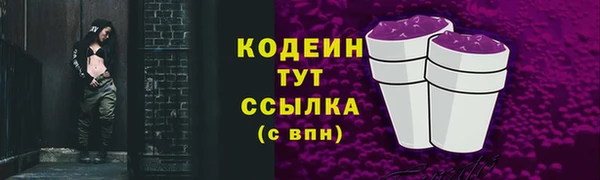 spice Нестеровская