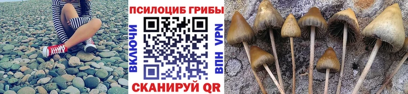 ссылка на мегу вход  Будённовск  Псилоцибиновые грибы Psilocybine cubensis  маркетплейс наркотические препараты  купить наркотики сайты 